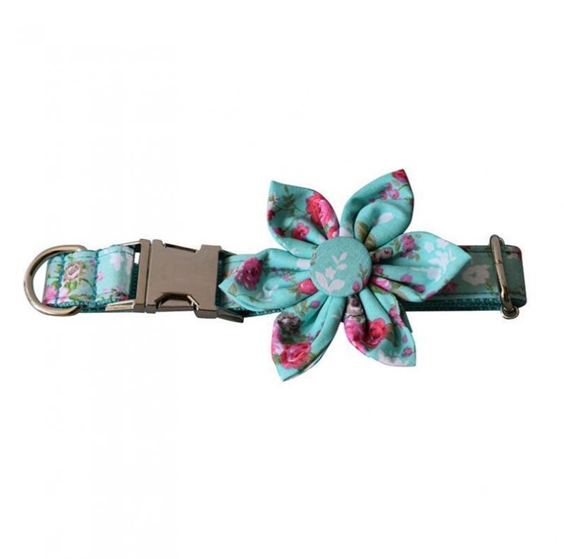 Fast Delivery Custom Rose Dog Collar Leash with Small MOQ