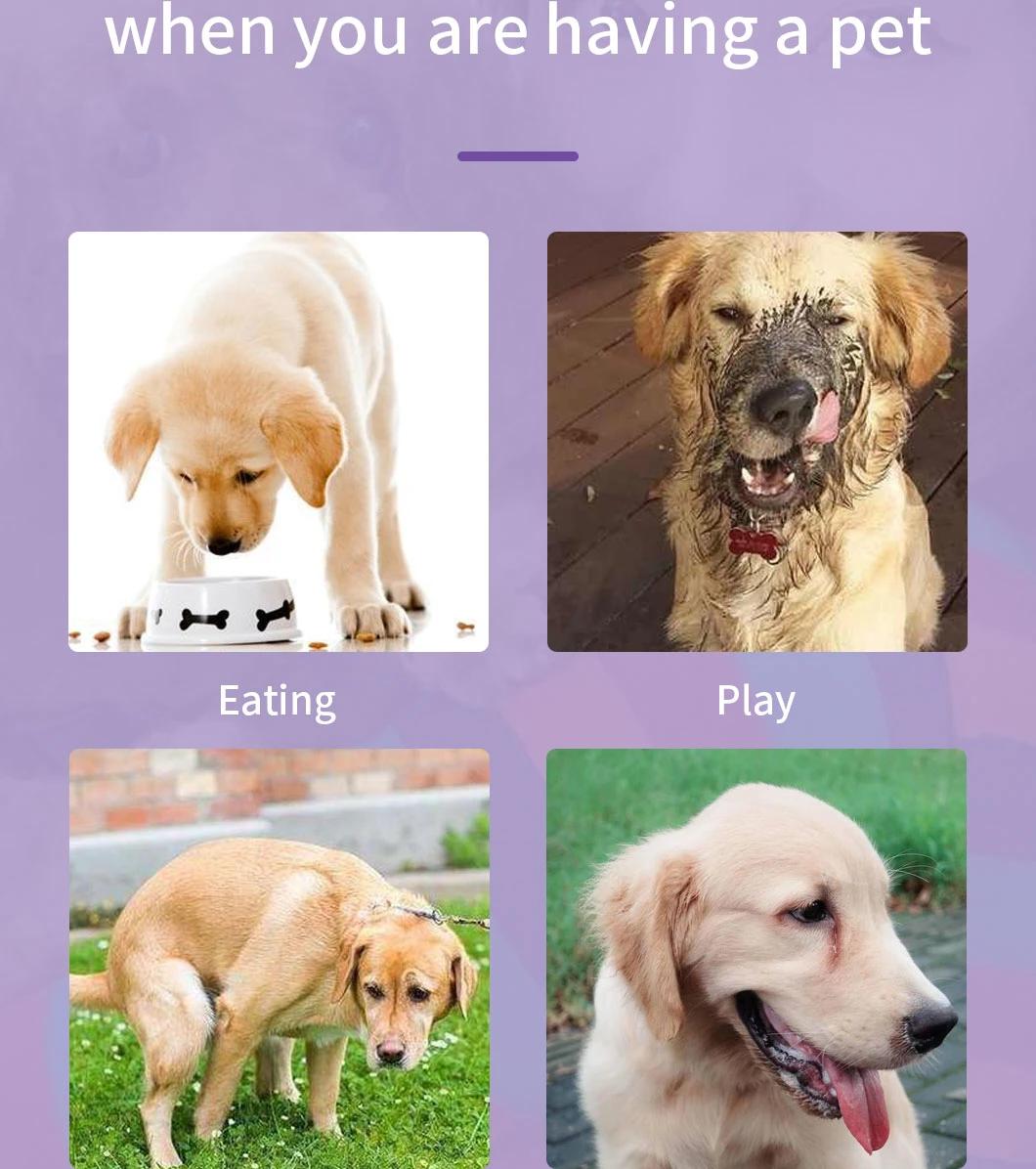 No Stimulation and No Odor Pet Clean Wipe