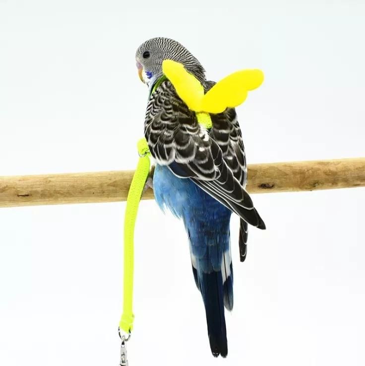 Light Release Traction Rope Peony Mystery Wind Small Sun Walking Bird Release Rope Parrot Flying Harness Rope Pet Item