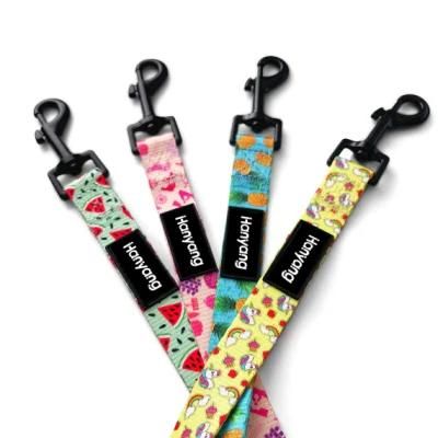 Pet Suppliy Custom Design Logo High Fashion Lead Adjustable Nylon Dog Leash