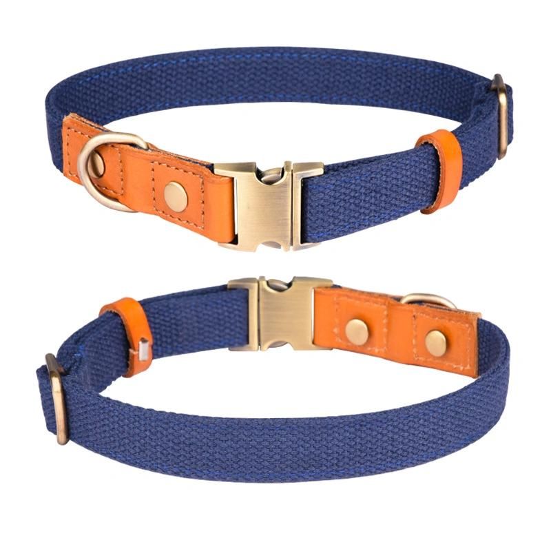 Sturdy Dog Collar with Leather Combination