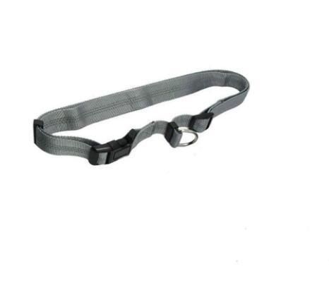 Hands Free Dog Leash and Collar for Running Dog Leash