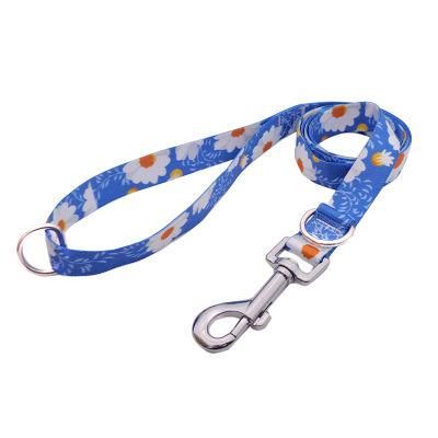 Flat Polyester Climbing Pet Dog Leashes with Doulbe D-Ring