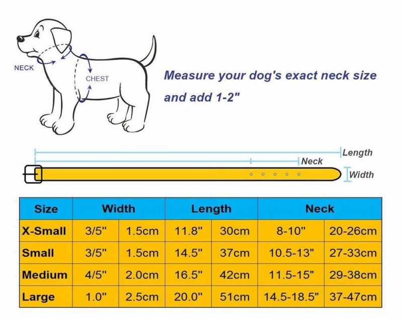 Basic Classic Padded Leather Pet Collars for Cats Puppy Small Medium Dogs
