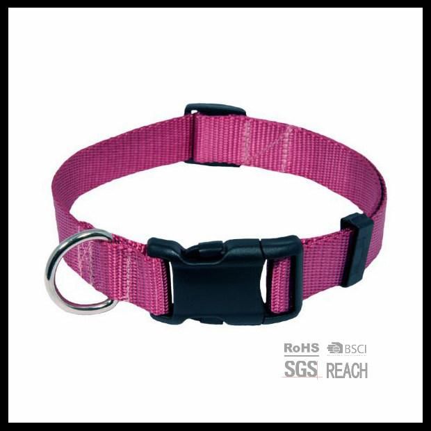 Solid Blank Nylon Collars for Dog