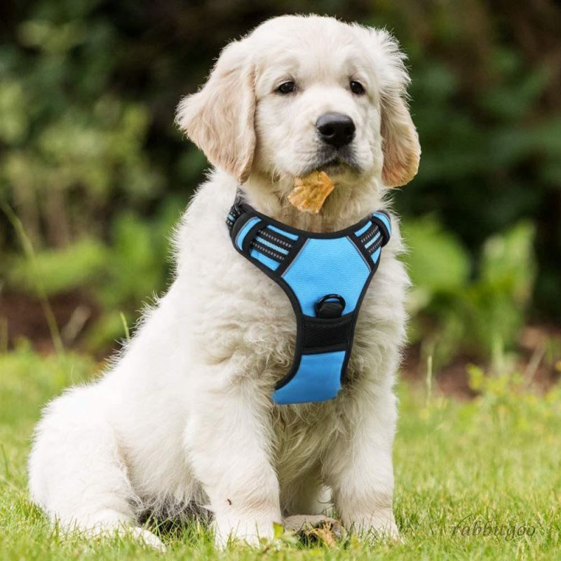 No-Pull Pet Harness with 2 Leash Clips Reflective Dog Harness