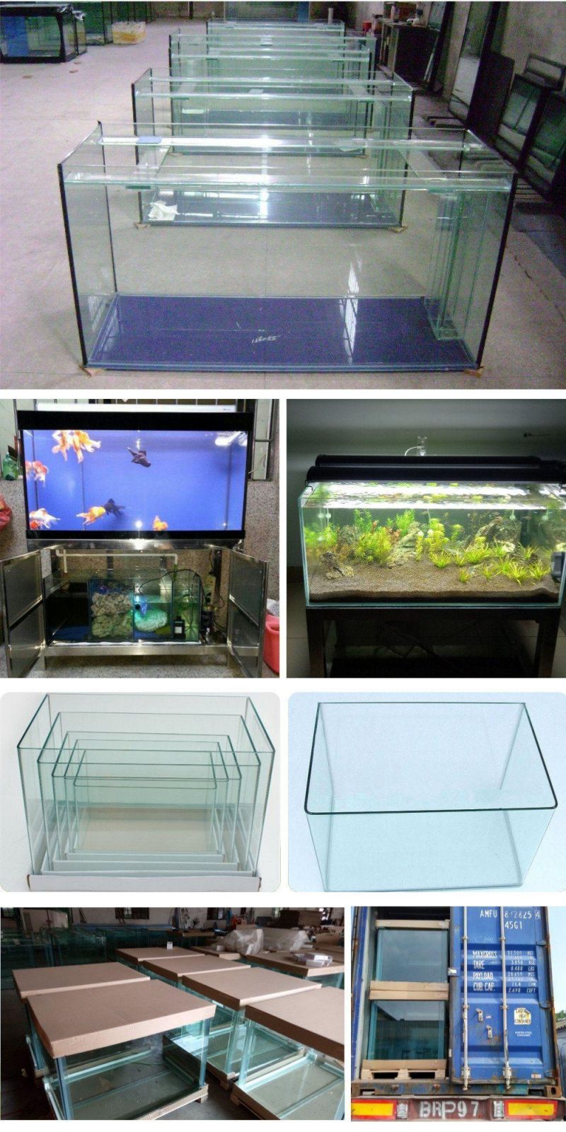 Aquarium Fish Tank with Low Iron Environmental Glass