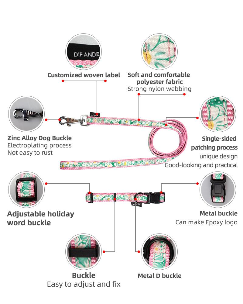 Heavy Duty Custom Designer Adjustable Luxury Fancy Fashion Dog Collar and Leash Set