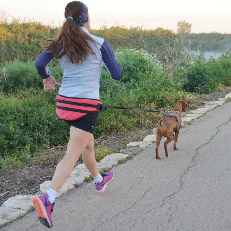 Factory Direct Sale Pet Leash Products, High Quality Sport Training Nylon Dog Lead