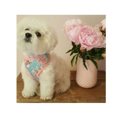 Wholesale Luxury Adjustable Breathable Washable Dog Harness and Leash/Pet Accessory
