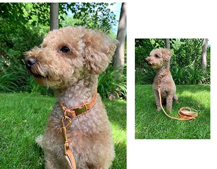 Classic Handmade Hemp Custom Logo Cotton Velvet Dog Collar with Matching Leash