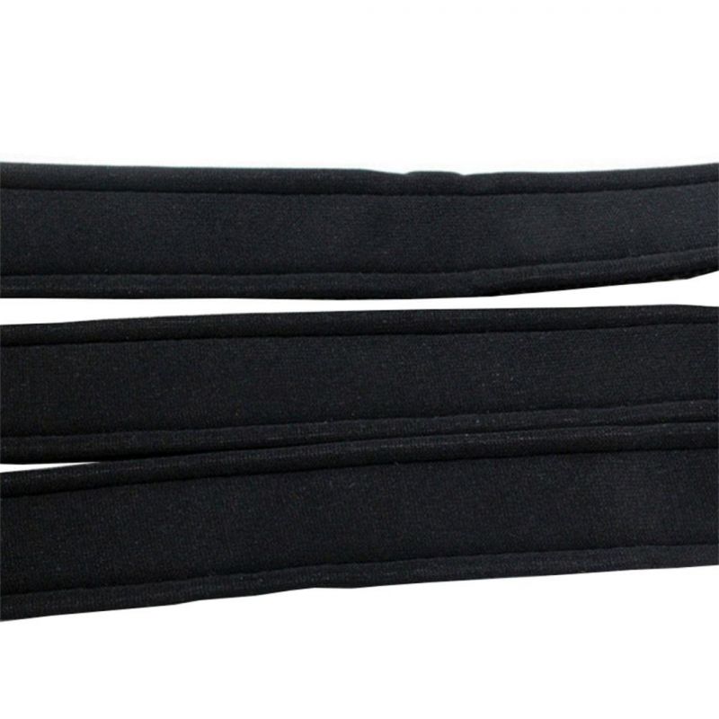 Two High Reflective Stripe Webbing Dog Collar