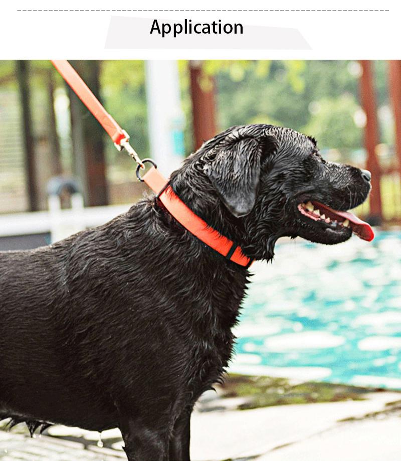 Factory Supplier Custom Pattern Dog Lead Luxury Waterproof TPU Pet Dog Collars for Dog Walking