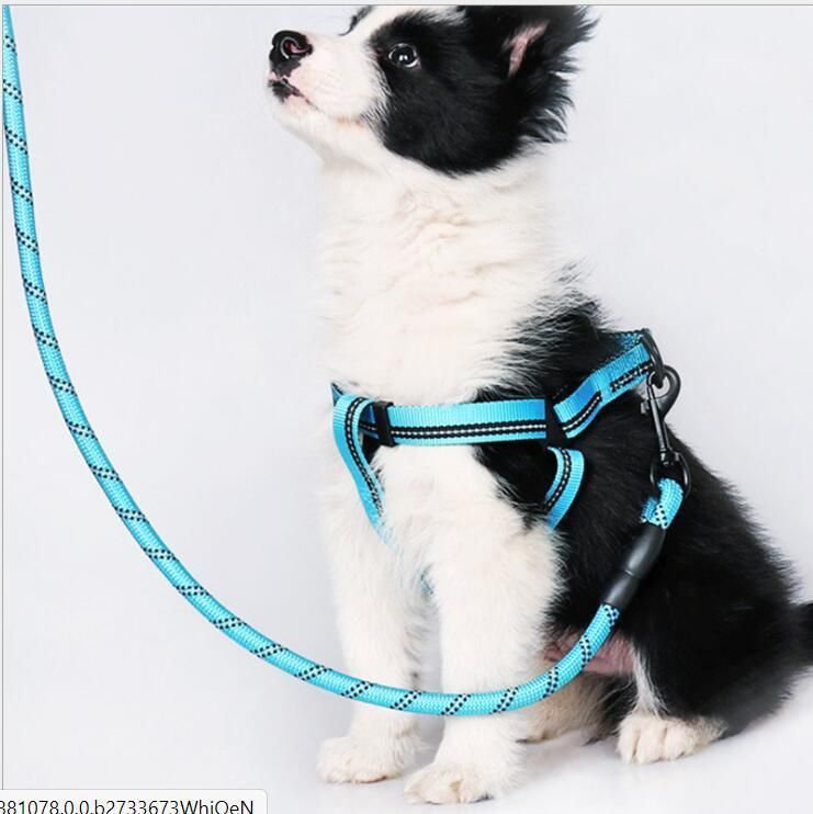 Strong and Durable Dog Pet Leashes Padded Handles for Dog Training Walking