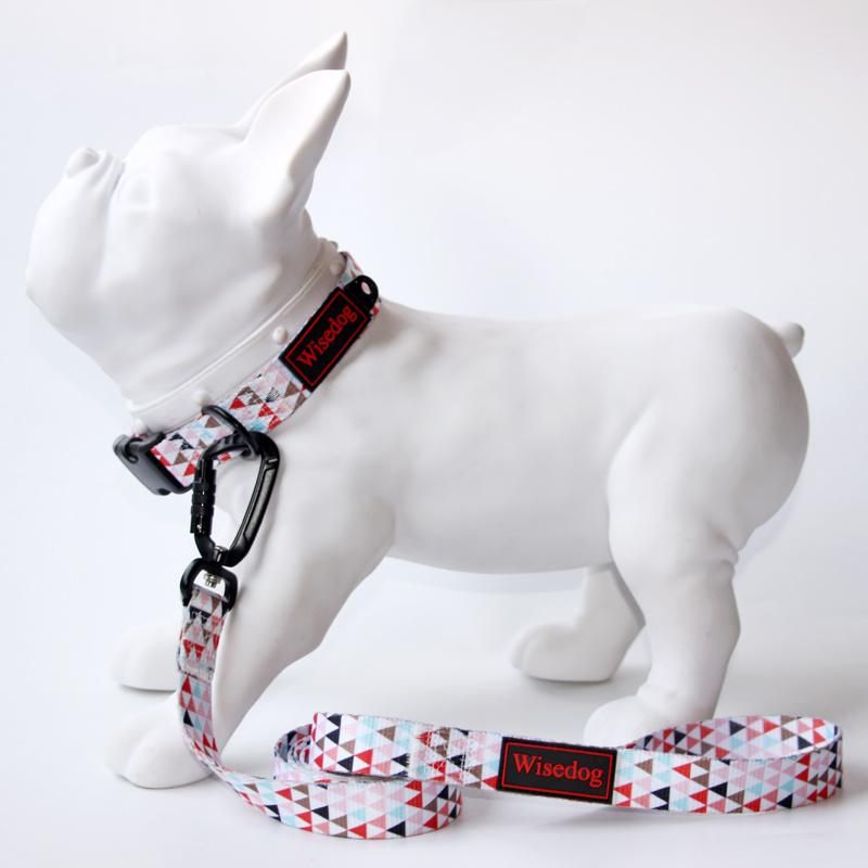 Ajustable Fashion Pattern Nylon Dog Collar and Leash