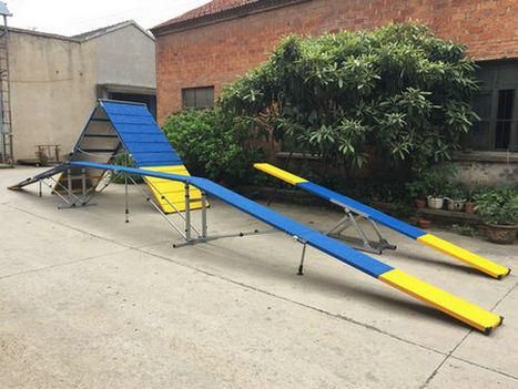 Dog Agility Dog Steel Seesaw Folded (GW-DT03)