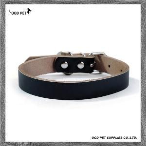 Cow Leather Personalized Dog Collars Spc7018-4