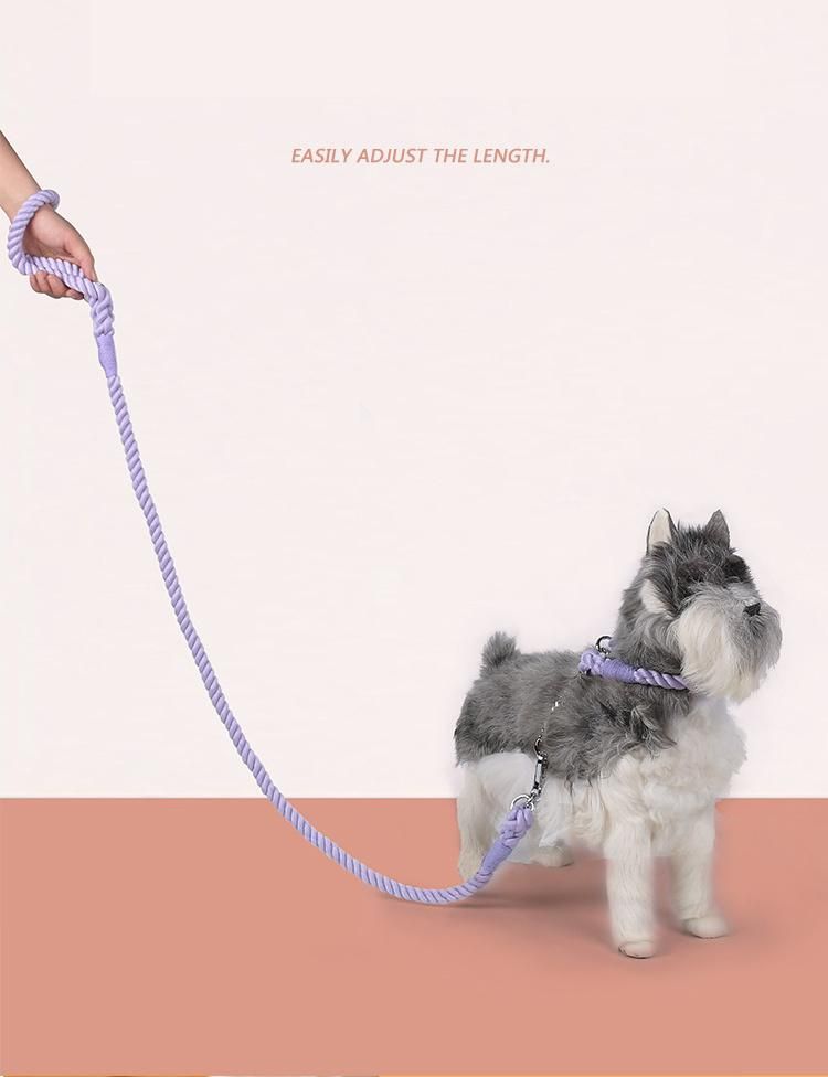 New Arrival Personality Design Leash Matched Chain Design Collar Dog Lead