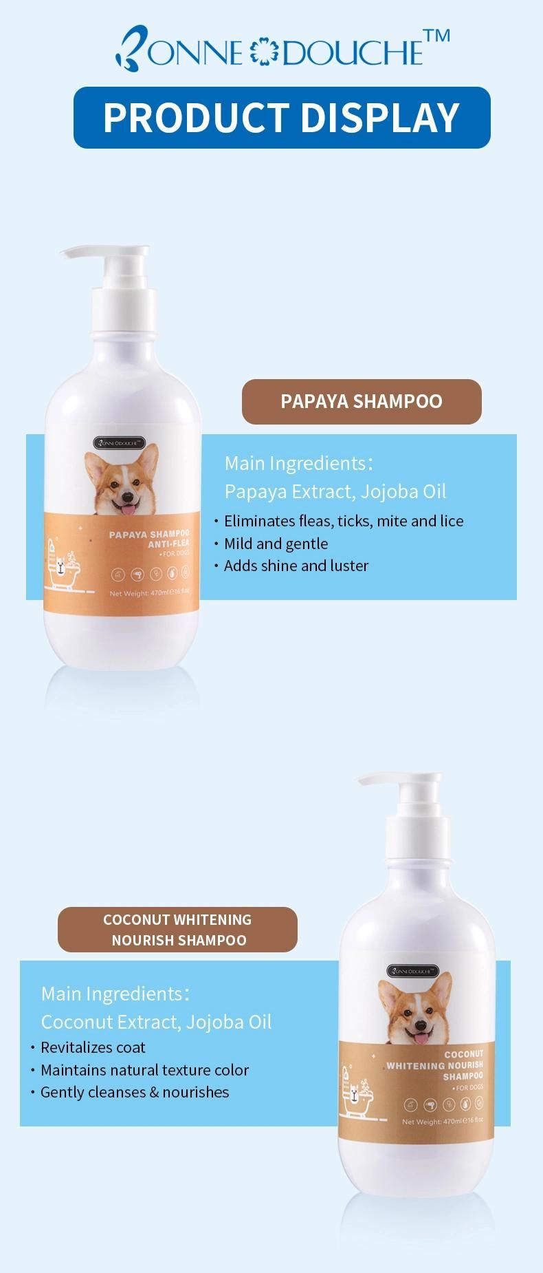 Private Label Cleanse Flea Prevent Itching Probiotic Dog Shampoo Pet Products 100ml