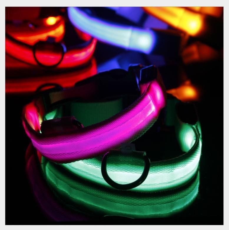 USB Rechargeable Flashing LED Nylon Safety Dog Collar