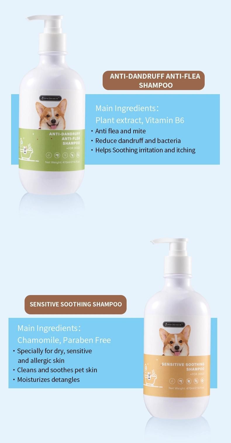 Private Label Cleanse Flea Prevent Itching Probiotic Dog Shampoo Pet Products 100ml