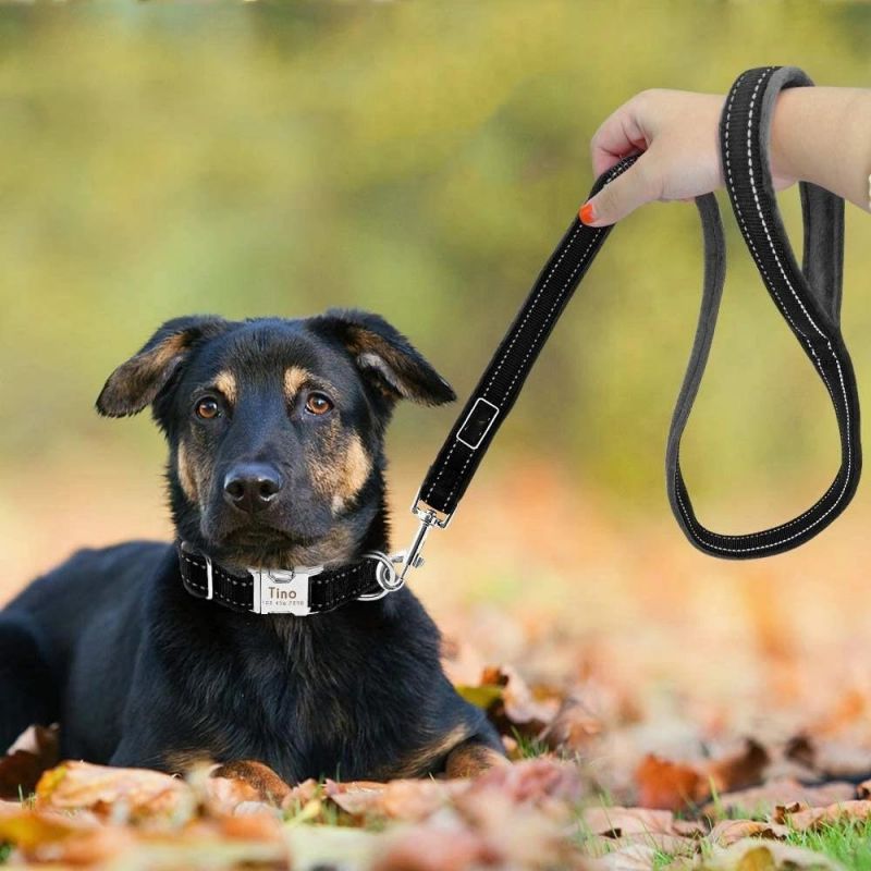 Flannel Padded Custom Dog Collar