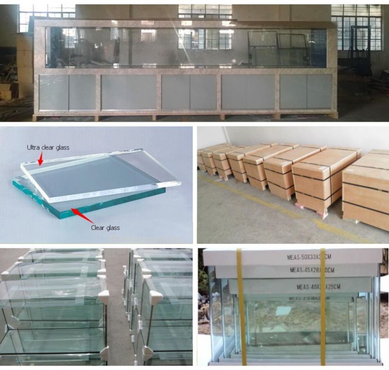 High Quality Large Size Glass Aquarium Fish Tank