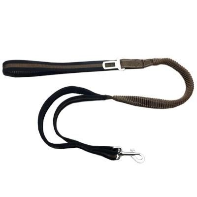 Double Handles Elastic Pet Leash with Car Seat Slip