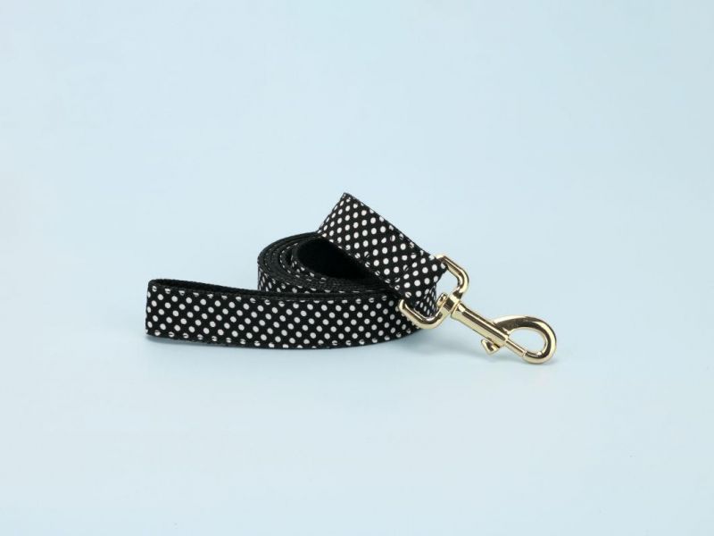 Pattern Dog Collar with Nylon Webbing