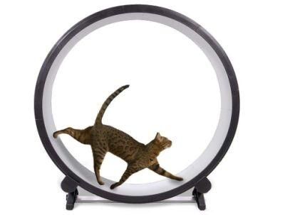 Wholesale Wooden Pet Supplies Toy Pet Cat Exercise Wheel