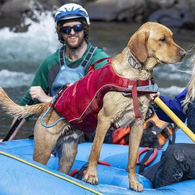 Life Jacket Safety Doggy Floats Reflective Adjustable with Two Control Handles for Small, Medium, Large Pets