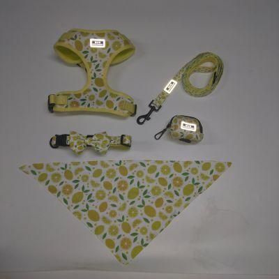 2021all Kinds of Full Sets Breathable Mesh Pet Dog Harness Running Training Pet Products