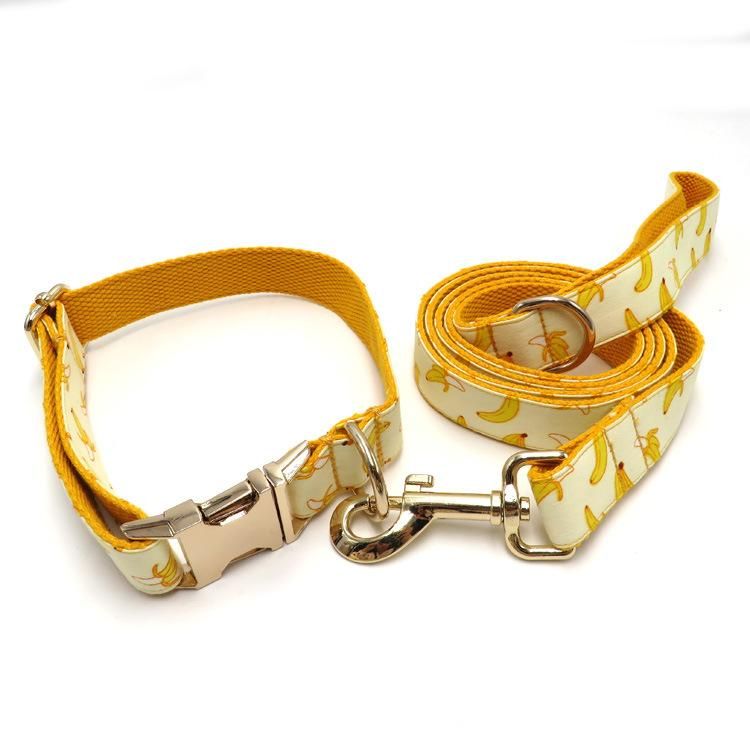 Eco-Friendly Pet Accessories Supplies Print Adjustable Luxury Nylon Dog Collar and Leash Set
