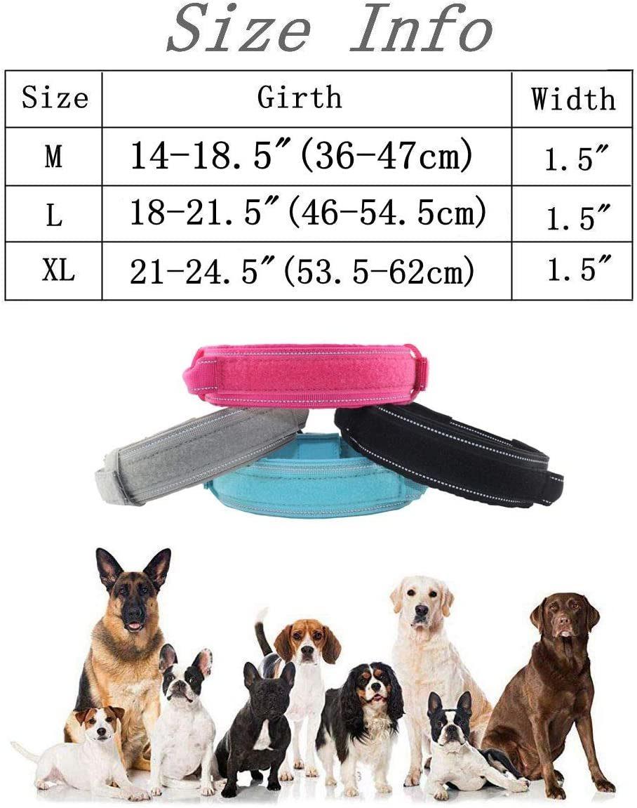 1000d Durable Dog Collar with Sturdy Hardware Accessory