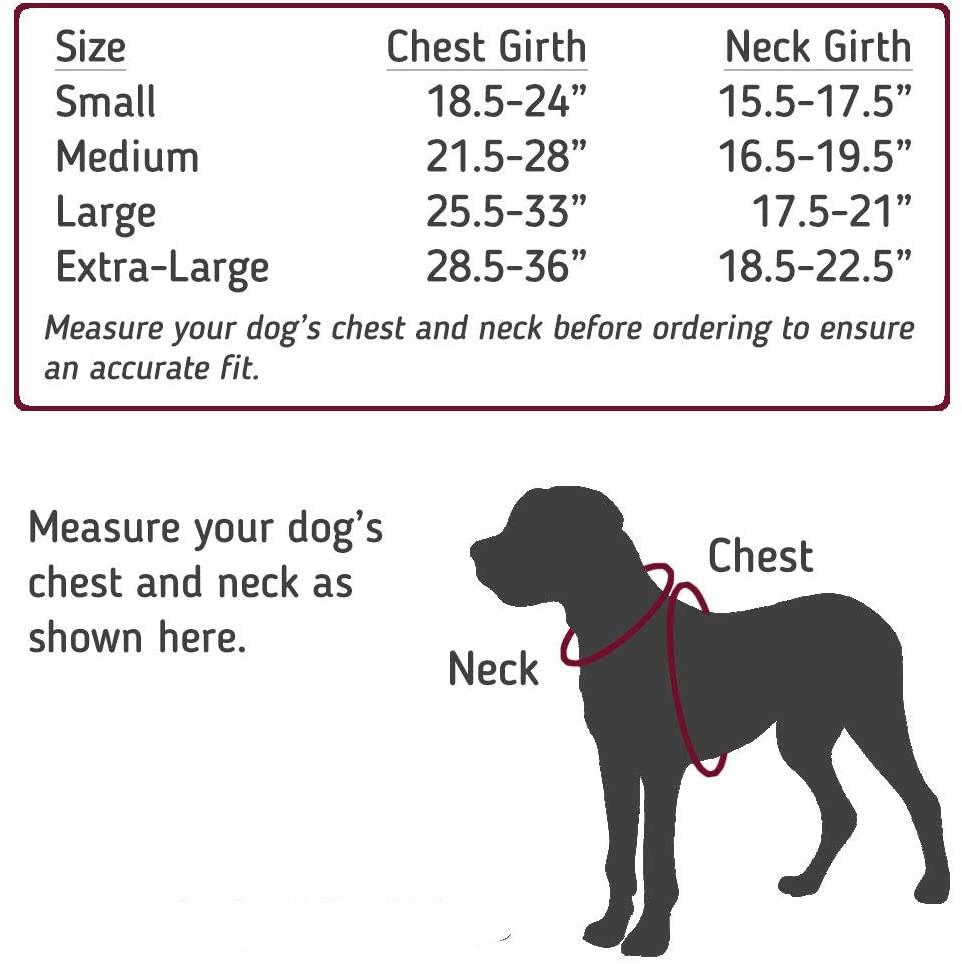 Custom Design Webbing Dog Harness with Bungee Handle