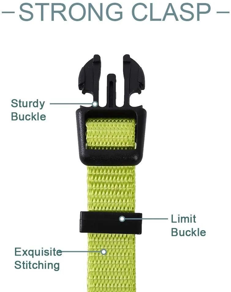 Cheap Price Pet Accessories Nylon Soft Leash Dog Collar