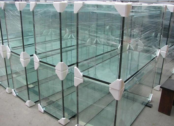 Fish Tank Aquariums, Fishbowl