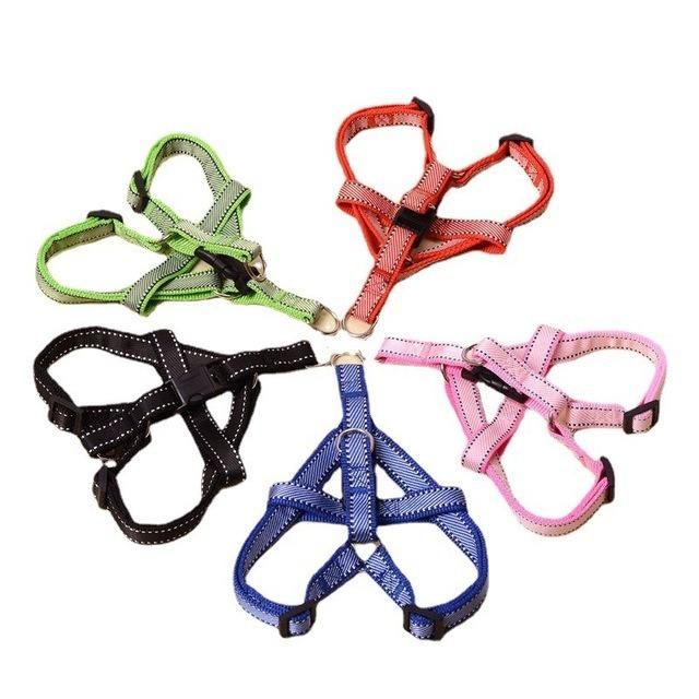 Reflective Rope Dog Leash with Matching Dog Harness