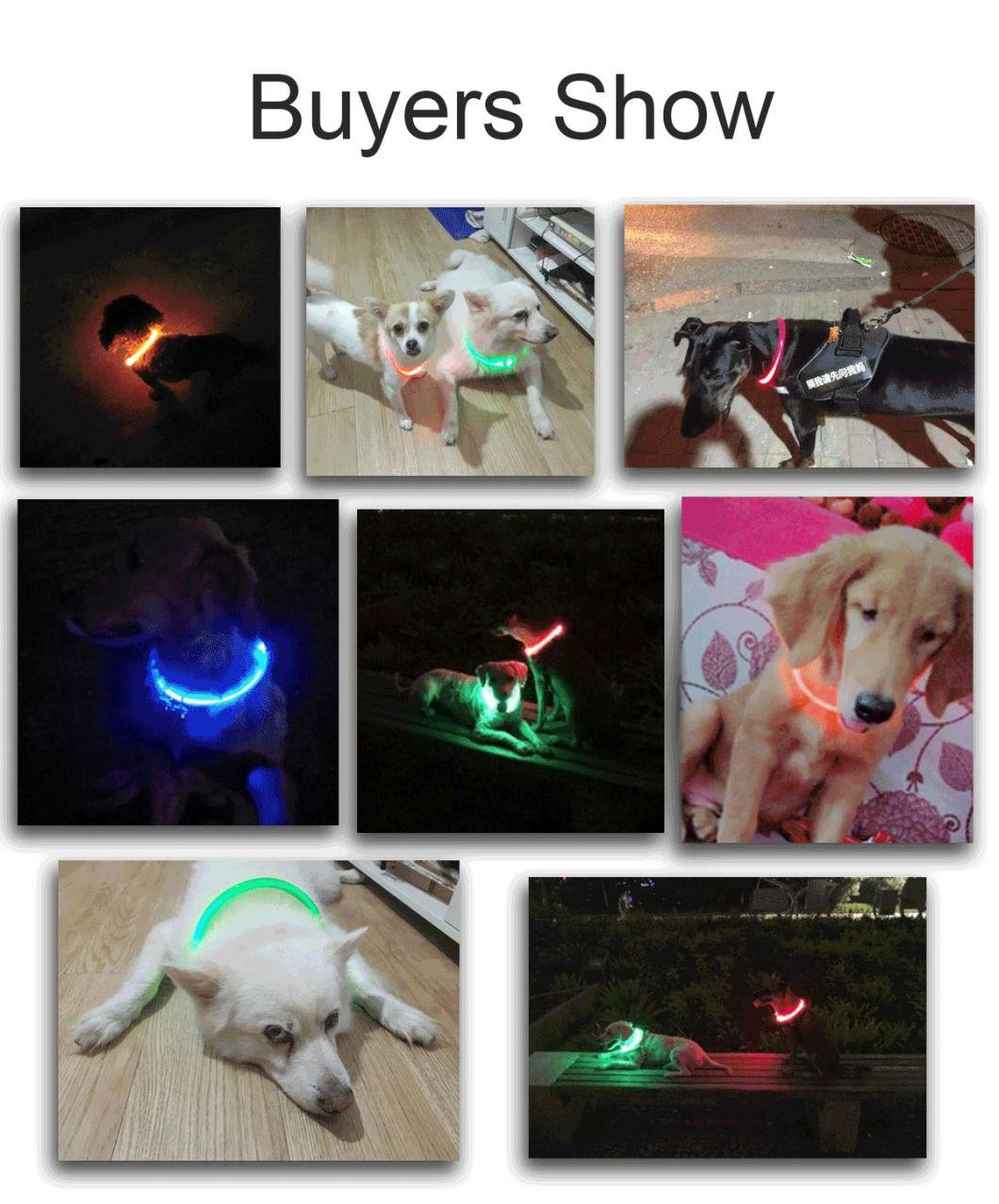 Best Selling PU Padded Flashlight Nylon Strip Pet Glow Battery or USB Rechargeable LED Dog Collar