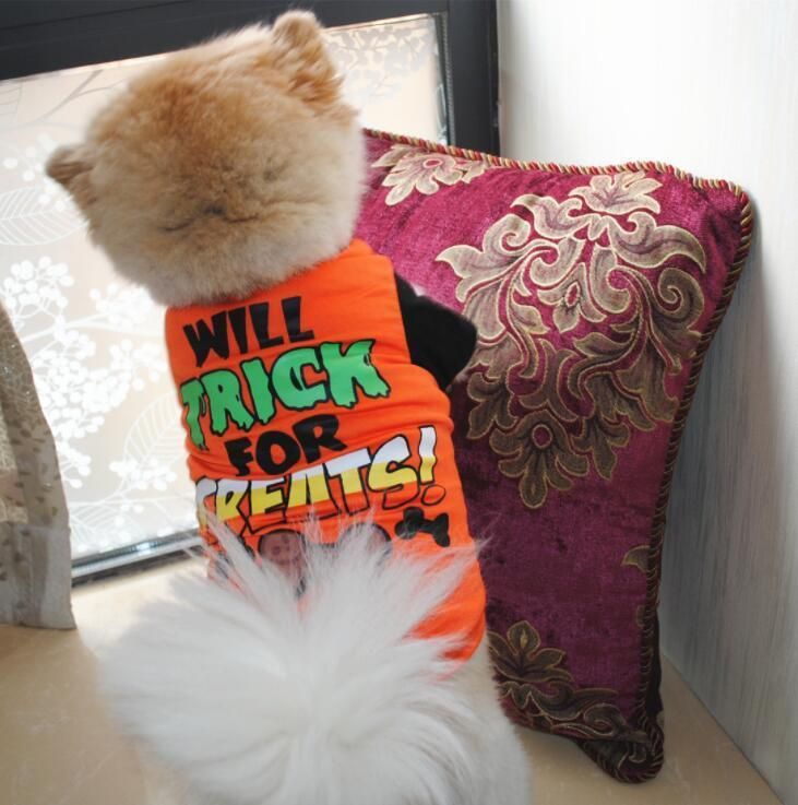 Soft and Comfortable Holloween Dog T-Shirt