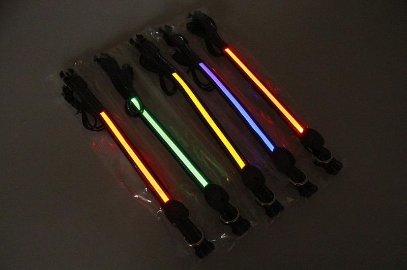 New Product Wholesale Custom Designer LED Light up Pet Dog Collar for Big Small Dog