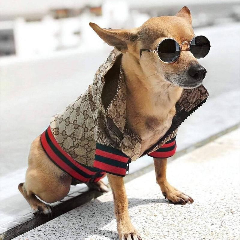 Fashion Colorful Cloth Material, S-XXL Cool Pet Windbreaker Dogs Apparel