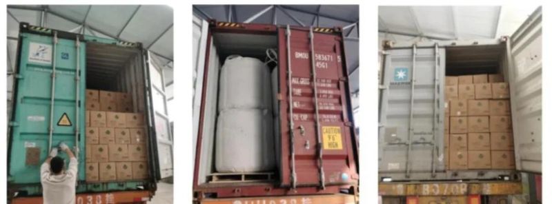 2022 Factory Price OEM / ODM 15g Little Pouch Liquid Wet Cat Snacks/Pet Cat Cans /Pet Cat Moist Food (Pet Products)