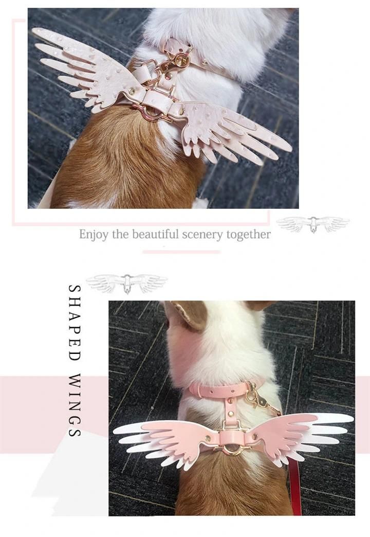 Ea080 Wings Cute Waterproof Luxury Designer Dog Collars & Leashes Set Accessories Trendy Puppy Logo Custom Leather High End Luxury Pet Collar and Leash