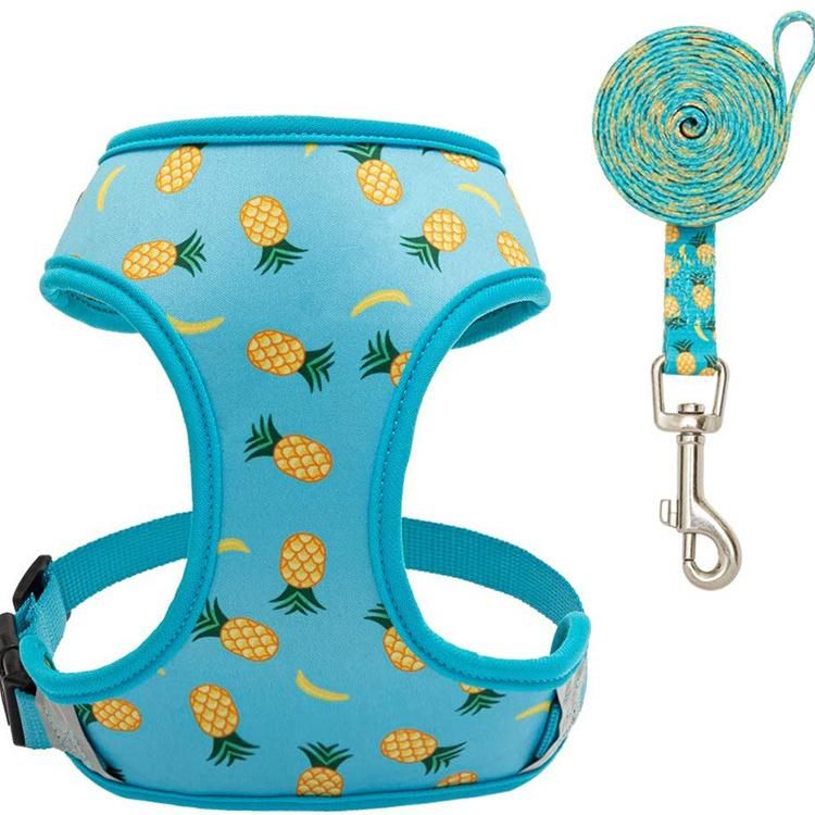Amazon Dog Harness and Leash Set, Pineapple Sunflower Double-Sided Printed Adjustable Soft Padded Bondage Puppy Vest Harness