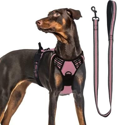 Adjuatable &amp; Easy to Use Nylon Pet Harness