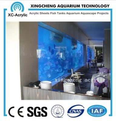 Clear Plexiglass Acrylic Sheet Aquarium for Restaurant Project
