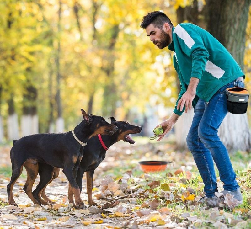 Pet Training Fanny Pack Dog Walking Kit Dog Food Bag