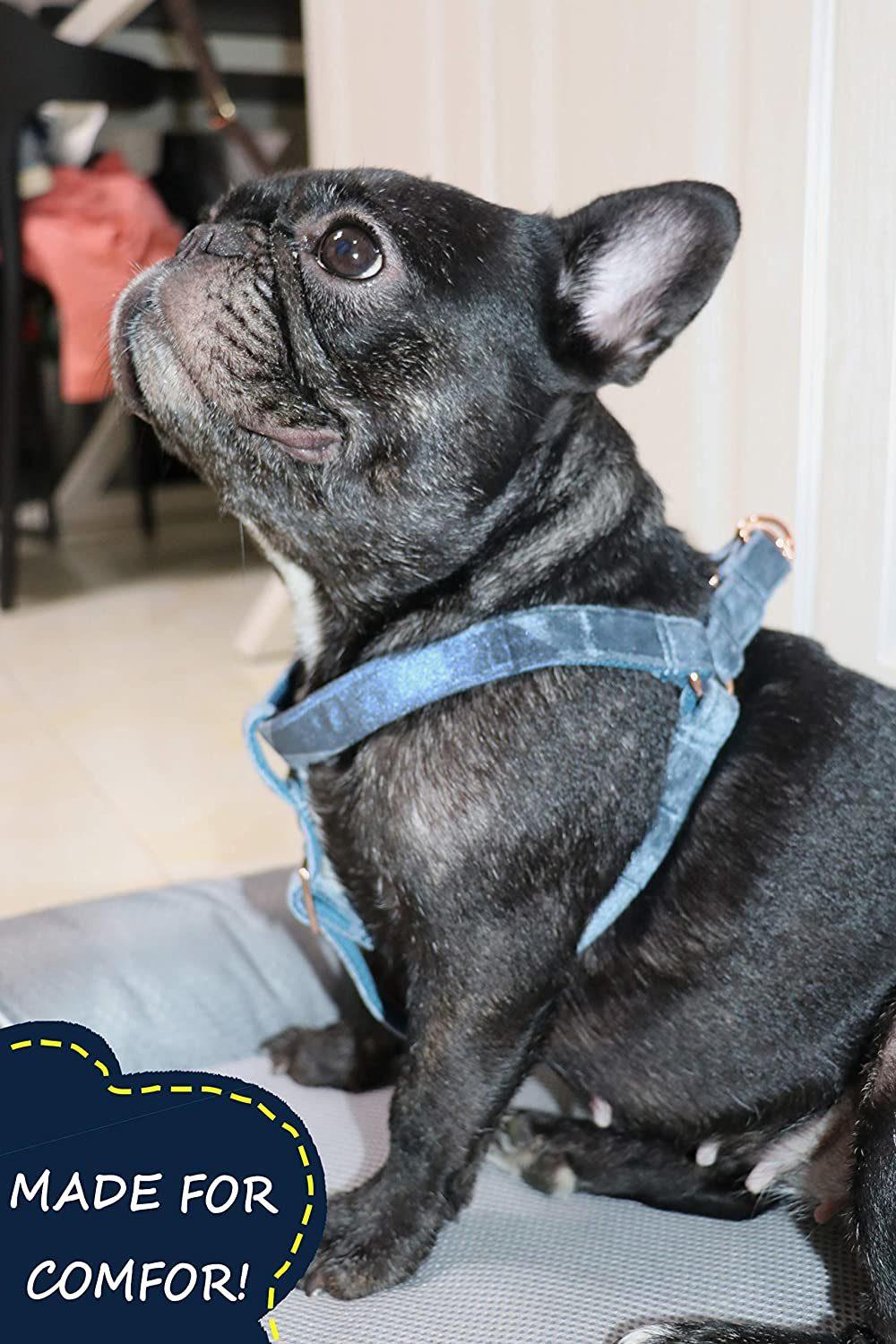 Comfortable and Durable Pet Harness with Velvet Fabric