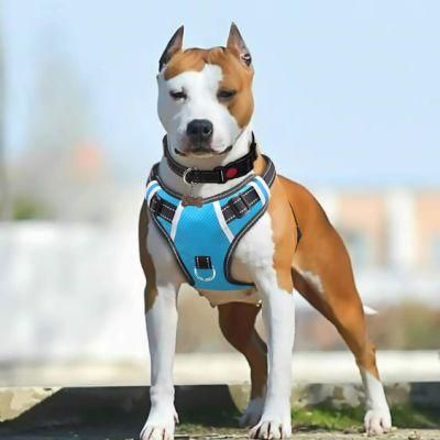 No Pull and Choke Free Easy to Wear Dog Harness